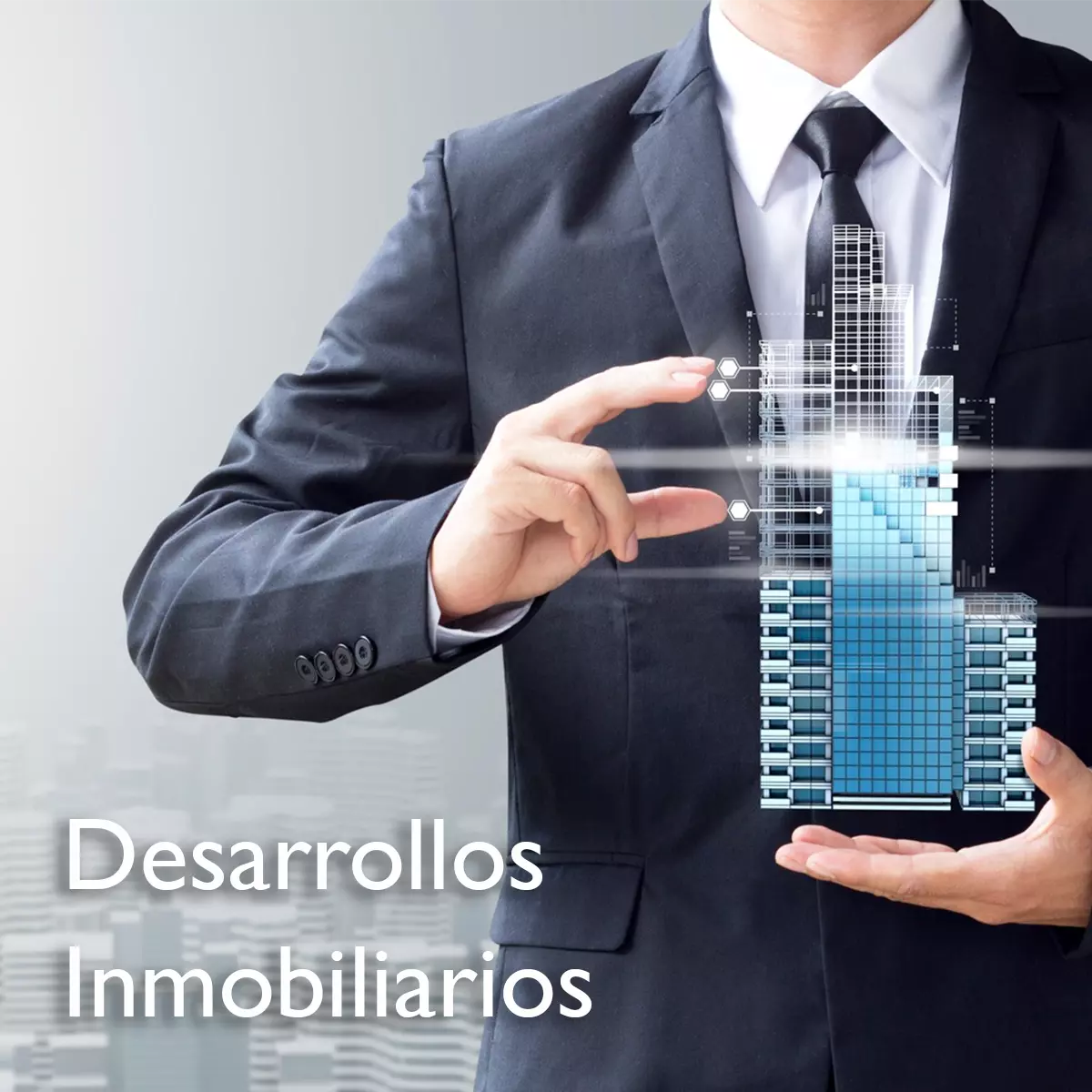 inmobiliario